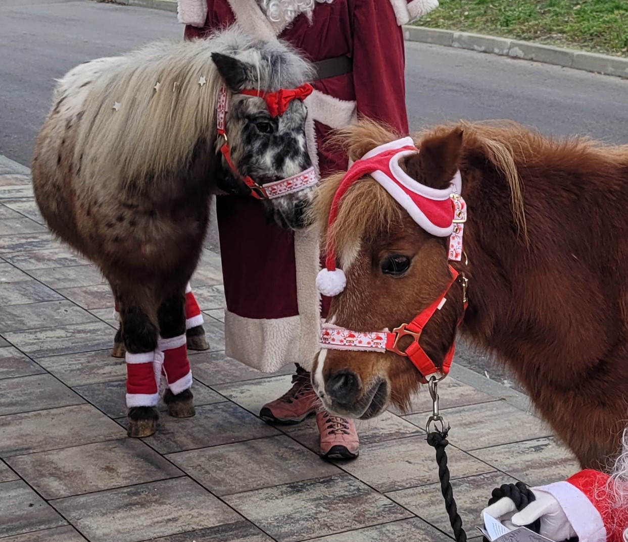 Nikolaus 2023 – Kindergarten Breitenau